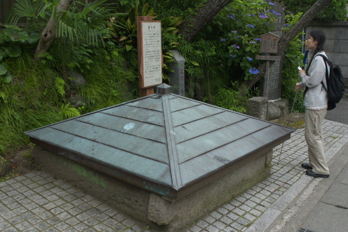 鎌倉アジサイ散歩 星の井