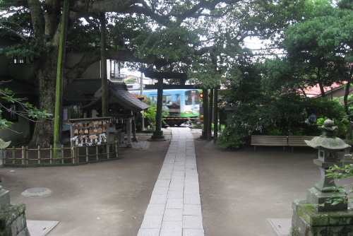 鎌倉アジサイ散歩 御霊神社