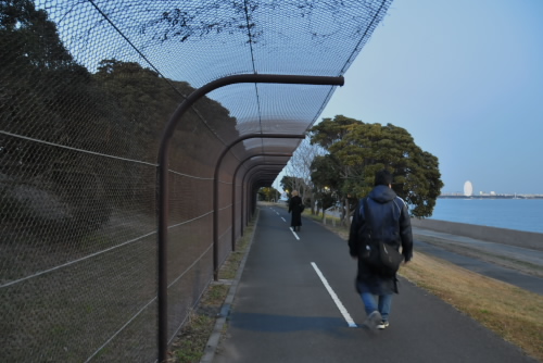 開通前の東京ゲートブリッジ