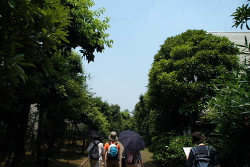 野川緑地公園