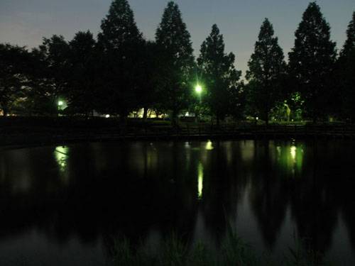川口自然公園：夜