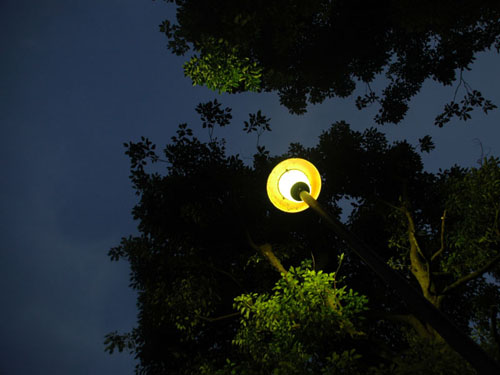 川口自然公園：街灯