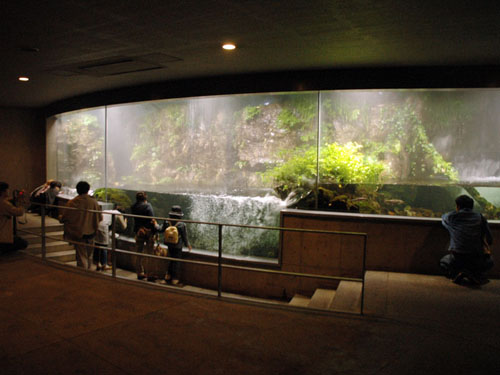 淡水生物館