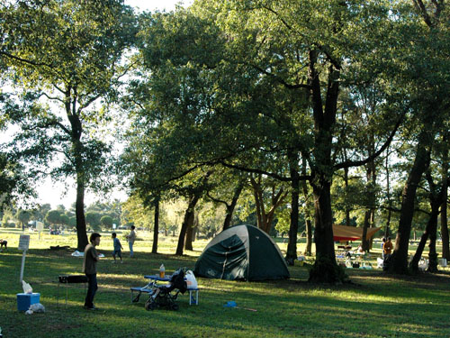 秋ヶ瀬公園：テントを張る人々