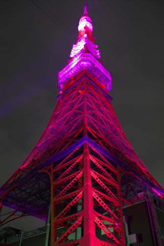 旅行 ピンクにライトアップされた東京タワー 思考回廊