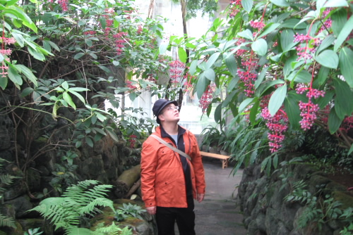 東京都板橋区立熱帯環境植物館
