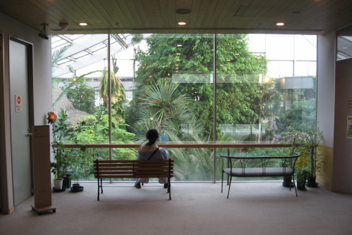 東京都板橋区立熱帯環境植物館