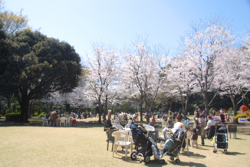 東京都庭園美術館の庭園のみ