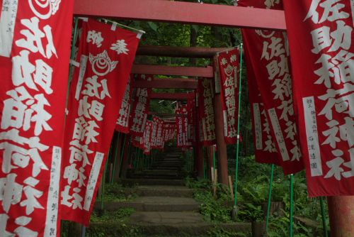 鎌倉アジサイ散歩 佐助稲荷神社