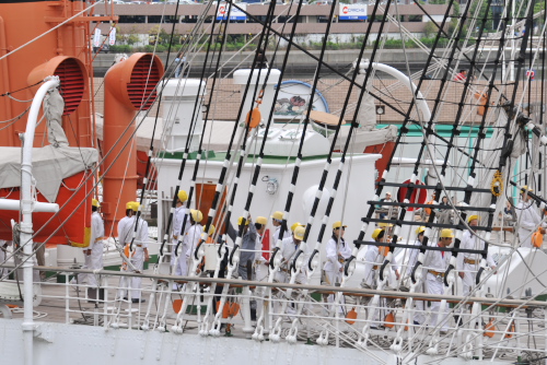 日本丸の総帆展帆と横浜マリタイムミュージアム