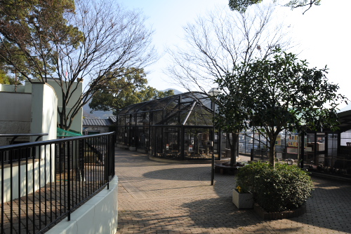 長崎公園（動物広場）