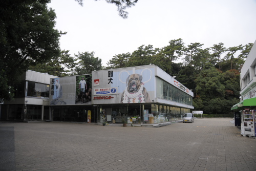桂浜水族館、土佐闘犬センター