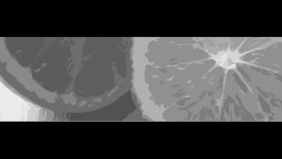 第16夜：食の安全