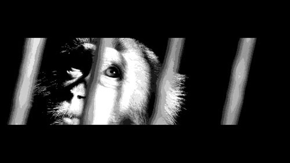 第66話：殺人罪